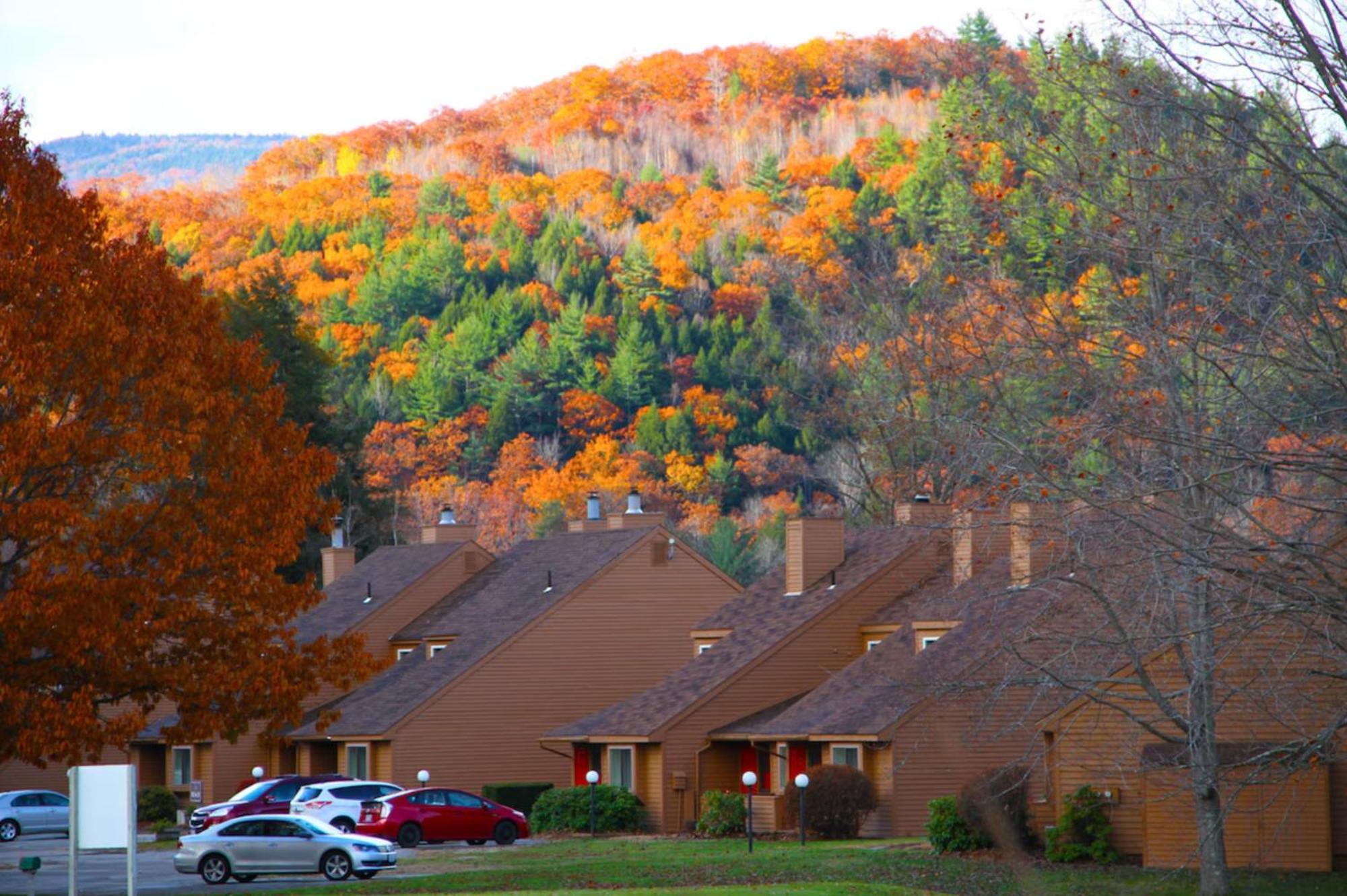 Cold Spring Plymouth Resort Ashland Екстериор снимка